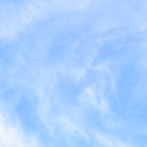 Meet your Posher, Sally